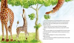 Girafa care nu putea sa ajunga la frunze