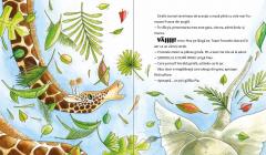 Elefantul care se temea de soricei