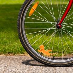 Accesoriu bicicleta - Cat