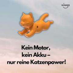 Accesoriu bicicleta - Cat