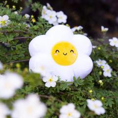 Jucarie de plus - Daisy