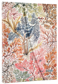 Agenda 2026 - Paperblanks - Anemone (William Kilburn) - Midi 12-Month Vertical Hardcover Flexi