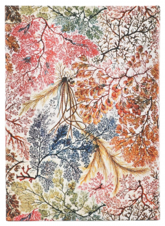 Agenda 2026 - Paperblanks - Anemone (William Kilburn) - Midi 12-Month Vertical Hardcover Flexi