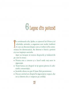 Dreptate pentru iepuras