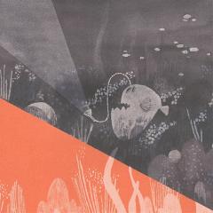 Вот так треугольник!