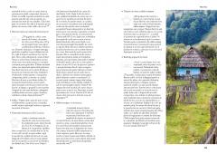 Sarut-mana pentru masa (Volumele I & II)