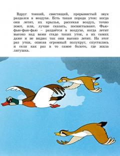 Лягушка-путешественница