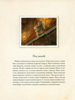 Эрхарт. Невероятныи полет полевки вокруг света