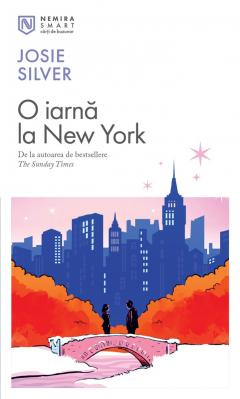 O iarna la New York