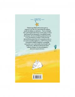 Klikel si furnicutele multicolore