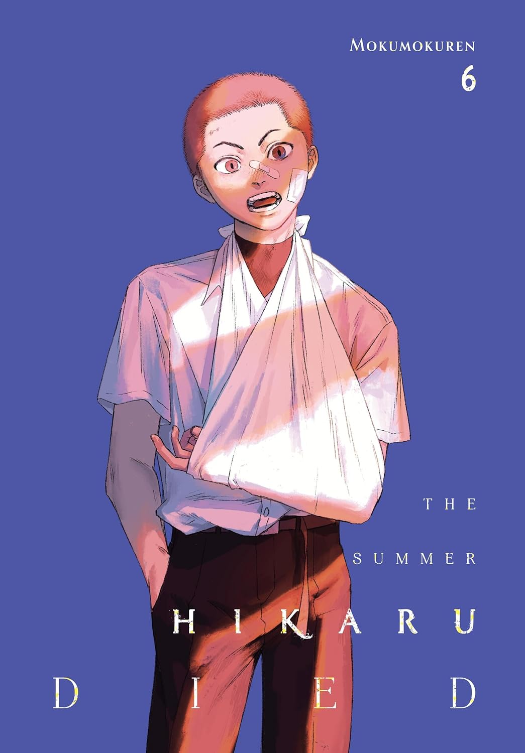 The Summer Hikaru Died - Volume 6