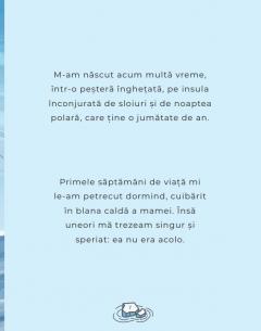 Aventurile lui Fram, ursul polar. Cartea 1