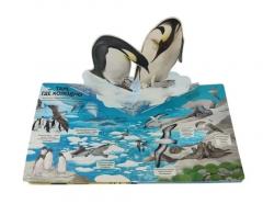 Животные и растения