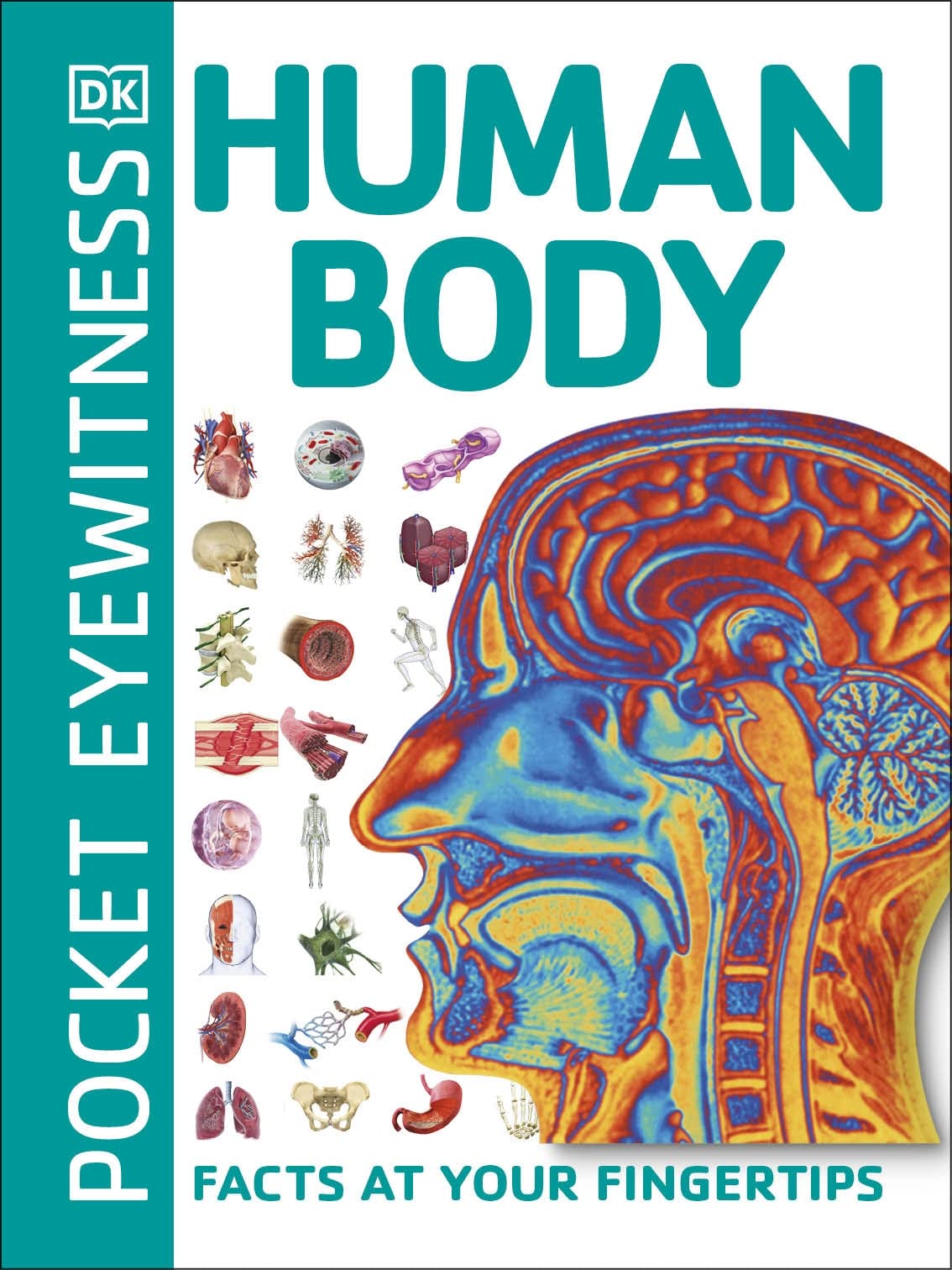 Human Body