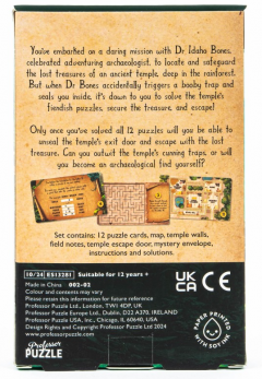 Joc de logica - Escape from The Lost Temple