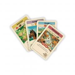 Catan - Jocul de carti