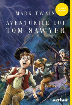 Aventurile lui Tom Sawyer