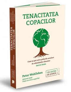 Tenacitatea copacilor