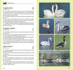 Determinator de plante și animale