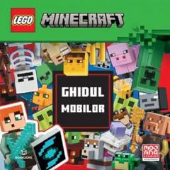 Cutia cu activitati Minecraft