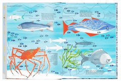 Тысяча и одна рыба