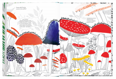 Тысяча и один муравеи