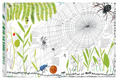 Тысяча и один муравеи