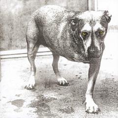 Alice In Chains (Yellow Highlighter Vinyl, 30th Anniversary)