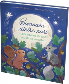 Comoara dintre nori 