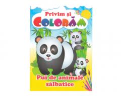 Privim si coloram. Pui de animale salbatice