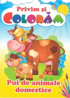 Privim si coloram. Pui de animale domestice