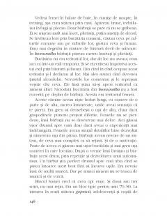 Salbaticii copii dingo 