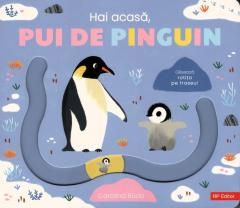 Hai acasa, pui de pinguin