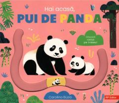 Hai acasa, pui de panda