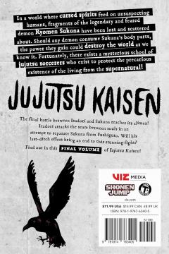 Jujutsu Kaisen - Volume 30