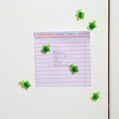 Set 6 magneti - Baby Turtle Magnets