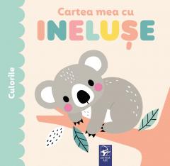 Cartea mea cu ineluse. Culorile