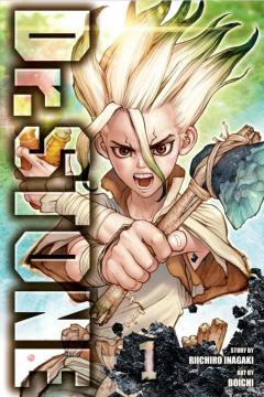 Dr. STONE, Vol. 1