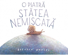 O piatra statea nemiscata