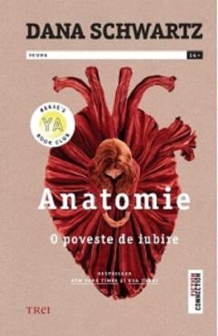 Anatomie