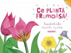 Ce planta frumoasa! - Despre plantele cu flori