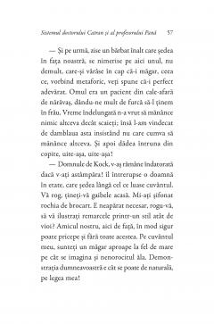 Pisica neagra si alte povestiri de groaza