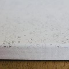 Set pictura pe numere - Elsa Frozen, 20x30 cm