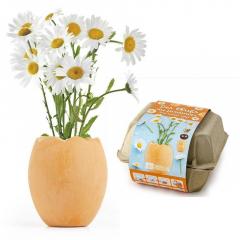 Kit de Plantat cu 4 Ghivece Ou - Margarete