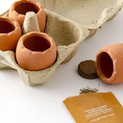 Kit de Plantat cu 4 Ghivece Ou - Margarete