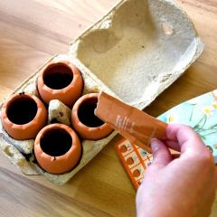 Kit de Plantat cu 4 Ghivece Ou - Margarete