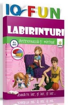Labirinturi
