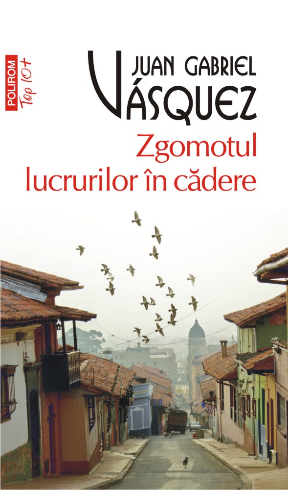 Zgomotul lucrurilor in cadere