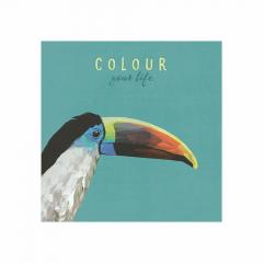 Tablou panza - Toucan