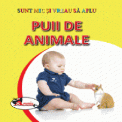  Puii de animale